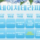 드림힐 네이버블로그