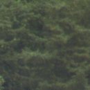 전농세탁 이미지