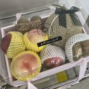 씨티청과 이미지