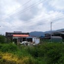 진전면903 이미지