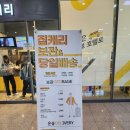 짐캐리부산항국제여객