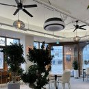 미자르 | 익산 신상카페 미자르 카페 후기｜오렌지 감성 인테리어