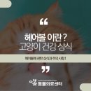 다봄헤어 이미지