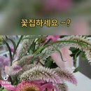 두시카페공방 Daum카페