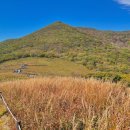 북부유전자 이미지