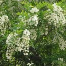 호운농장 이미지