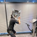 신내1동 금강메디칼센터빌딩 | 안양PT | 20분 만에 끝내는 전신 운동? 마이크로스튜디오 안양평촌점 솔직후기