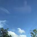 pure over 퓨어오버 이미지