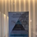분당 미금역 카페 후기ㅣMapleTree Coffee 메이플트리 커피