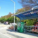 장안웃길 이미지