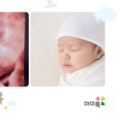 코니사진관 이미지