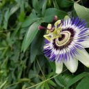 정열농장 이미지