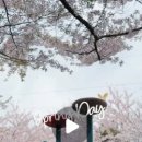 꽃이랑나랑