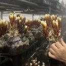 변산농장2 이미지