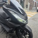 125 | PCX125 솔직 후기 - 연비, 장단점, 어떤 사람한테 맞을까?