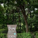 명옥헌정원1(주차장) | [서울 가볼만한곳 / 남산 산책 코스] 도심 속 숨은 힐링 정원! 새로 개장한 '남산 한국숲정원' 후기 (주차)