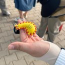 내몽골여행(1) 3박 4일 패키지여행 후허하오터 공항, 내몽골 박물관, 시라무런 초원 가는 길, 게르 저녁...