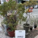 수원-0152 이미지