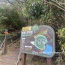 블링존 애월 이미지