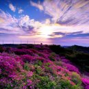 한우산