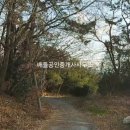 도덕면사무소 이미지