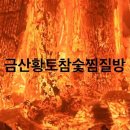 송백로-4 이미지