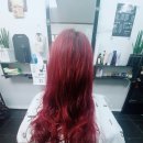 엉아돈한판 이미지