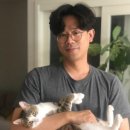 백산동물병원 이미지