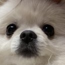 소나무카페(소나무관광농원) 이미지