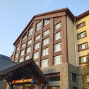 송정푸른솔한의원 | 만주벌은 넓었고 두만강은 좁았다