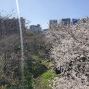 신산공원 이미지