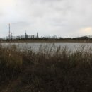 독곳수산 이미지