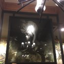 참튼튼약국 이미지