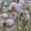 시전마을상가 이미지