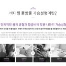 워너비성형외과의원 이미지