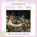 카페레브 | 동탄 분위기 좋은 카페 찾는다면? 르레브 동탄 솔직후기