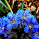 용담초교 이미지