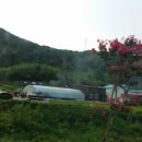 내송축산 이미지