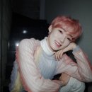 뉴마 Daum카페