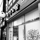 술푸마 이미지