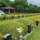 공설묘지 이미지