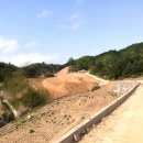 마당발부동산중개사무소 이미지