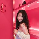 카페서울 이미지