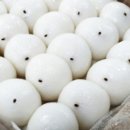 떡애잔기지