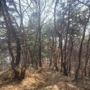 풍산1리 네이버블로그