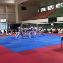 타이거태권도장 Daum카페