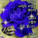 울엄마해피데이