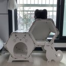 제니펫하우스 이미지