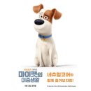 마이펫의 이중생활 이미지