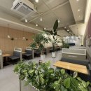 충청남도홍성의료원 | [충남 홍성] 홍성카페 커피베이 홍성의료원점, 겨울 신메뉴 뱅쇼 붕어빵 솔직후기